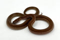 Chad Locale House Snake "Project Africa"